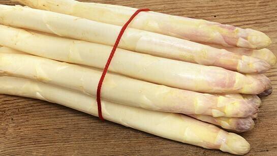 xesparragoblancook.jpg.pagespeed.ic.CFEcabwVKb|asparagus-449942_960_720|GrupoAN - Fotos Beroiz (2)|congreso